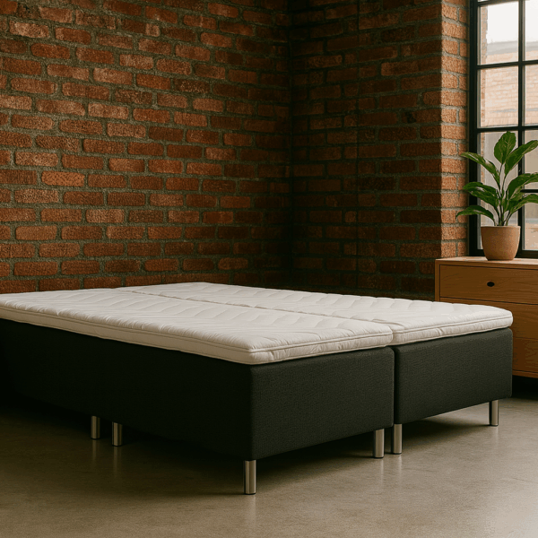 Lapur Oslo kontinentalseng